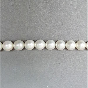 SHELL PEARL #501 10MM RAINBOW WHITE